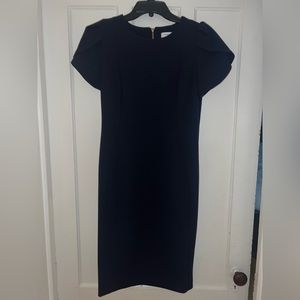 Calvin Klein Tulip Sleeve Sheath Dress